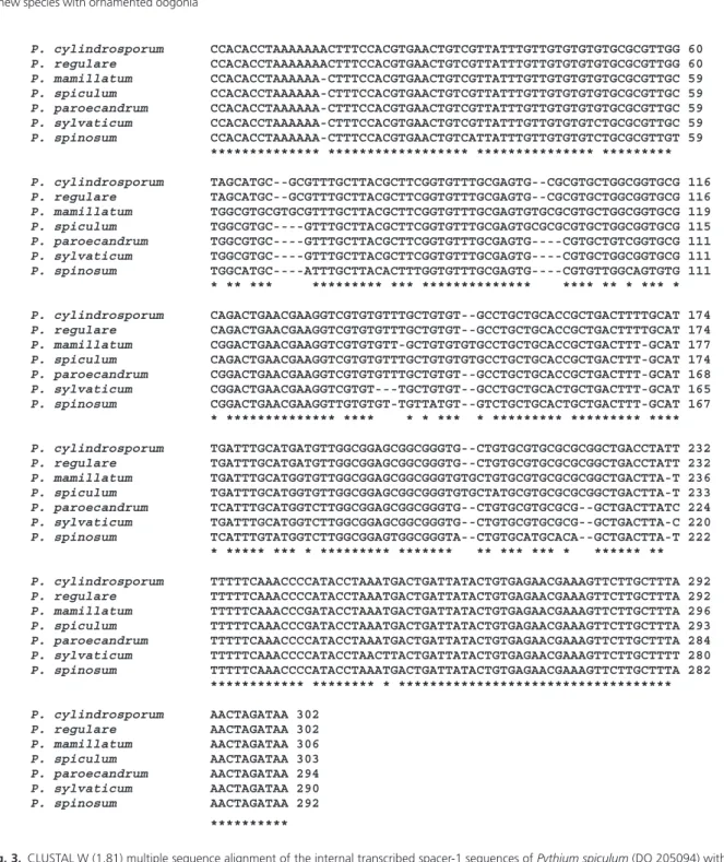 Fig. 3. CLUSTAL W (1.81) multiple sequence alignment of the internal transcribed spacer-1 sequences of Pythium spiculum (DQ 205094) with those of Pythium cylindrosporum (Genbank accession AY 598643), Pythium regulare (AF 492018), Pythium paroecandrum (AJ23