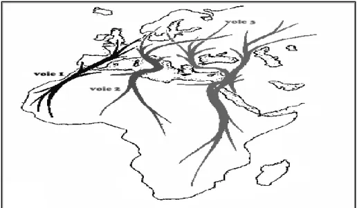 Figure 08 : Principales voies migratoires de la Tourterelle des bois (S. turtur) (voie 1 :  ibérique ; voie 2 : italo- grecque ; voie 3 : egypto- syrienne) (Reproduit d’après Cramp et 
