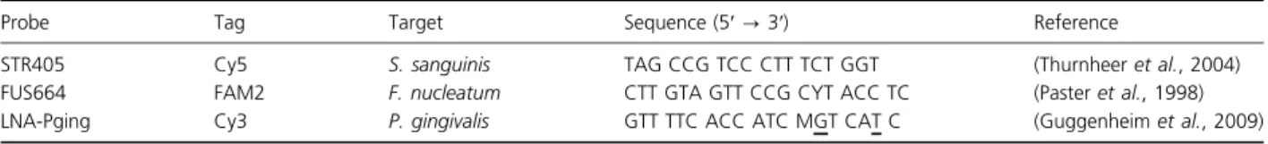 Table 1. Characteristics of 16S rRNA gene-directed oligonucleotide probes used for FISH (underlined bases have locked ribose conformation)