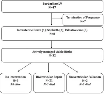 Table 4 lists echocardiographic factors, which were associated with the need for an intervention in the first month of life