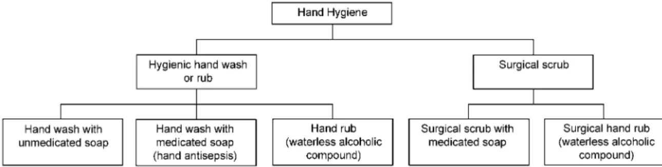 Figure 1. Classification of hand hygiene procedures
