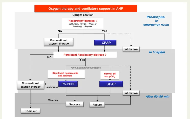 Figure 3 Oxygen and ventilatory support in acute heart failure. PS-PEEP, pressure support-positive end-expiratory pressure