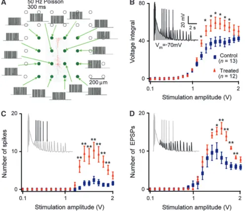 Figure 3. Hyperreactive network. (A) MEA stimulation with 16 electrodes (50-Hz Poisson train, 300 ms) in layer 5 thick-tufted PCs