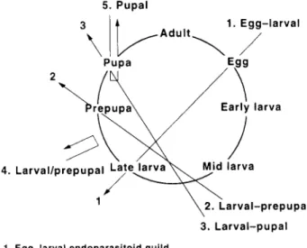 Table 3. Primary parasitoids and hyperparasitoids reared from the apple ermine moth, Yponomeuta malinellus, at two sites in Germany from 1993 to 1995.