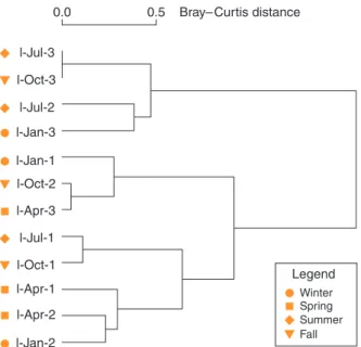 Fig. 4. Dendrogram of fungal DGGE band patterns derived from sam- sam-ples taken on four occasions, one in each season, in a freshwater marsh.