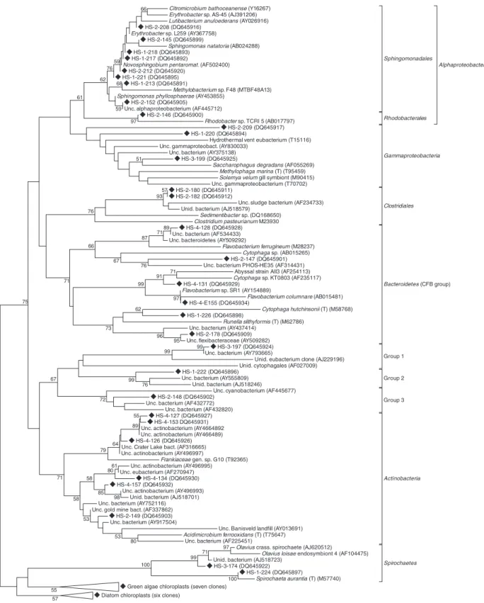 Fig. 5. Phylogenetic minimum evolution tree of sequenced bacterial clones and selected reference sequences