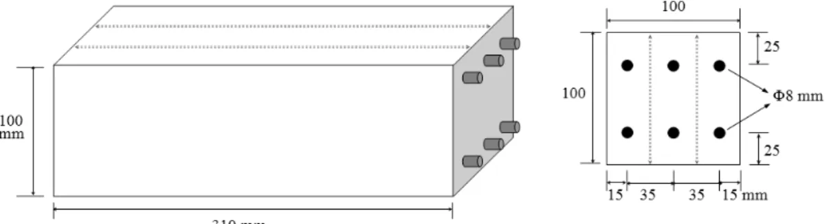 Figure 1: Geometry of reinforced mortar and concrete prisms. All prisms were cut into three identical slices along the dashed lines.