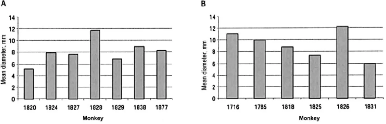 Figure 2. The delayed-type hypersensitivity (DTH) reaction in vervet monkeys is shown
