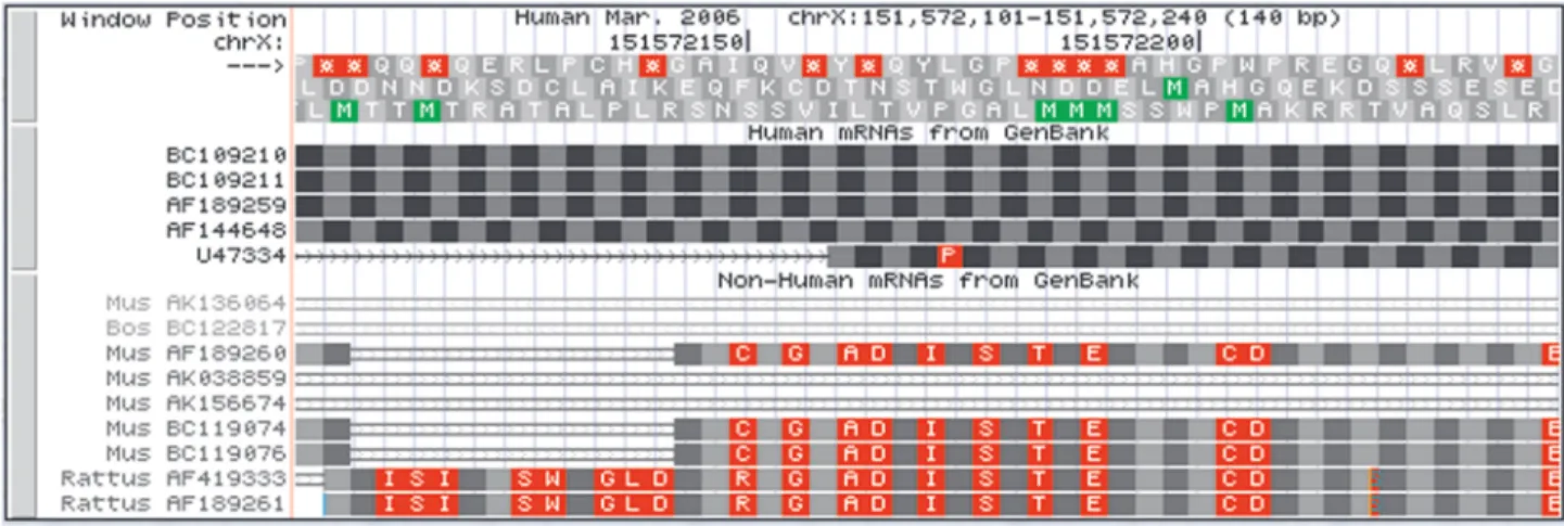 Figure 2. A zoomed-in view of the human and non-human mRNA tracks in the chrX:151 572 101–151 572 240 region on the human March 2006 (Build 36, hg18) genome assembly