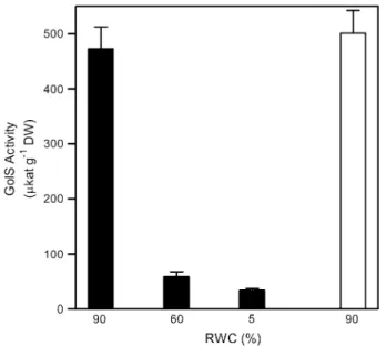 Fig. 2. GolS activity in the leaves of X. viscosa plant subjected to a water deficit stress over a period of 20 d