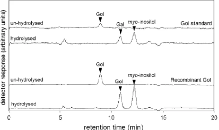 Fig. 6. HPLC-PAD chromatogram representing the enzymatic hydroly- hydroly-sis of Gol synthesized in an in vitro reaction using crude E