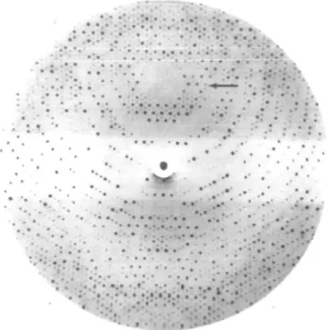 Fig. 1. Oscillation photograph covering the rotation range <f> = 12° —14°
