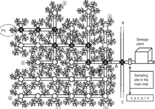 Fig. 1. Use of converging sewage systems for monitoring poliovirus circulation. A schematic picture of a sewer network with small branches starting from a single house or group of houses, joining stepwise to larger sewer branches, and ﬁnally ending in a se