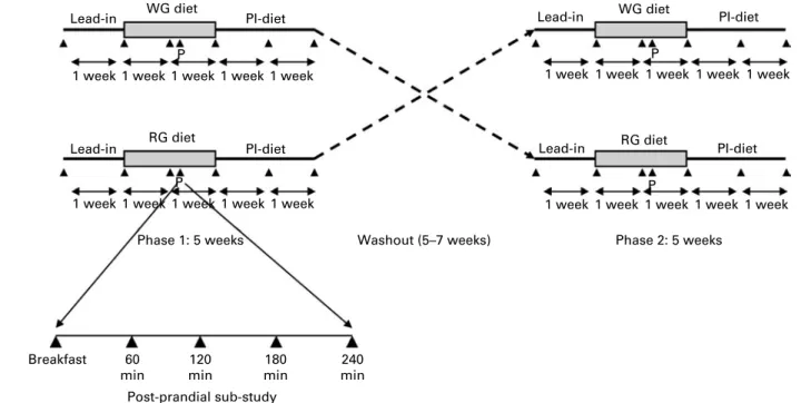 Fig. 1. Study design. During the first intervention diet period, subjects ate either a diet rich in whole-grain (WG) cereals or a diet rich in refined-grain (RG) cereals.