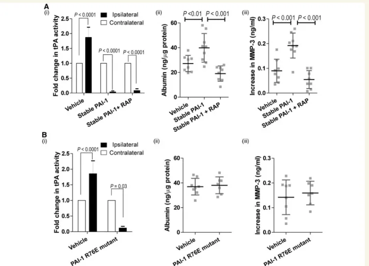 Figure 2 Injection of PAI1 exacerbates neurovascular damage via LDLRs. (A) Intracortical injection of stable mouse PAI1 post-TBI in wild-type mice (i) inhibits t-PA activity within the ipsilateral cortex as measured by an S2251-based amidolytic assay (Sash