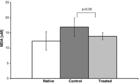 Fig. 2. Lipid peroxidation. Thiobarbituric acid reactive substance (TBARS) levels in the graft as measurement for lipid peroxidation 6 h after reperfusion (group I) and 2—3 h after reperfusion at terminal graft failure (group II)