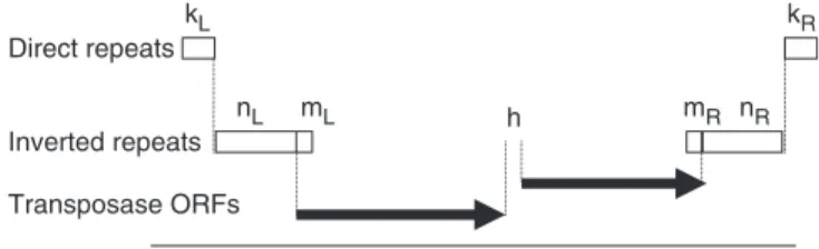 Figure 1. Illustration of the diﬀerent parameters IScan uses to identify ISs. The thin horizontal line at the bottom of the panel indicates the queried DNA sequence (genome)