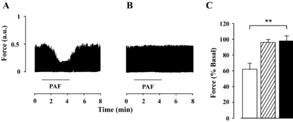 Fig. 2. Effects of PAF-mediated NO production on cardiac inotropism. (a) Analysis of the role of NO in the PAF-dependent induction of negative inotropism in electrically paced (240 beats/min) atrial muscles