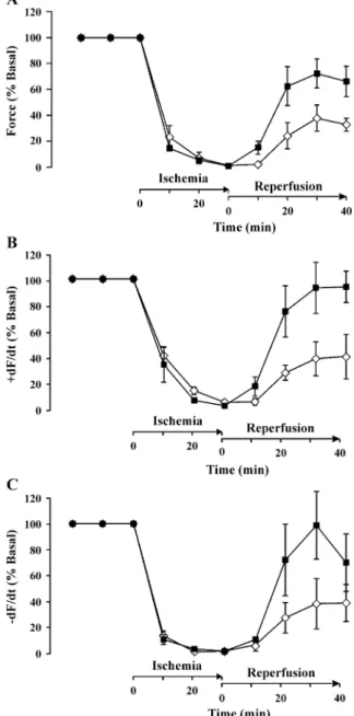 Fig. 4. Cardiac functions during ischemia and reperfusion in Langendorff- Langendorff-perfused PI3Kg-deficient and control hearts