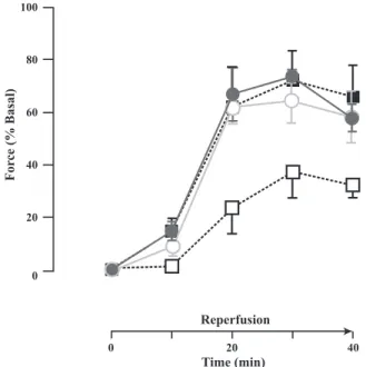 Fig. 5. Role of PAF in the alteration of cardiac contractility after ischemia/