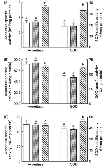 Fig. 4. Aconitase- and superoxide dismutase (SOD)-specific activity in (A) liver and (B) sub-sarcolemmal and (C) inter-myofibrillar skeletal muscle  mito-chondria in food-restricted and control rats