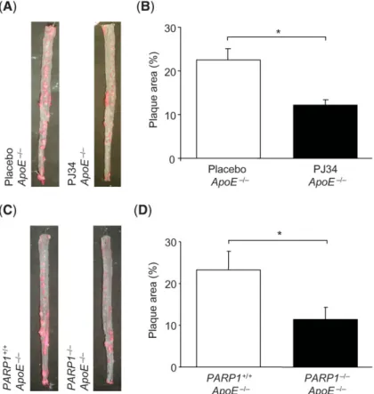 Figure 1C and D). ApoE 2/2 mice treated with PJ34 appeared healthy with the exception of 5 out of 25 mice those  devel-oped skin lesions; ApoE 2/2 mice with or without PARP1  del-etion were healthy with the exception of 1 out of 10