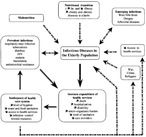 Figure 2. Impact of infectious disease in the elderly population on health care services (solid arrows) and factors contributing to an increase in the burden of infectious disease in elderly individuals (patterned arrows)