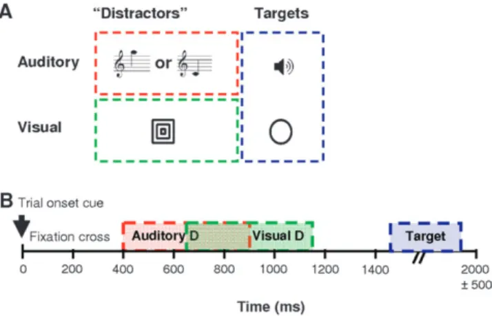 Figure 2. Probabilistic relationship between auditory and visual stimuli. Contingency tables showing the proportion of each trial type occurring during CS þ and CS  blocks respectively