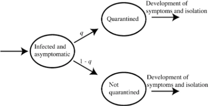 FIGURE 1. A schematic diagram of the two pathways down which an infected individual can move when quarantine protocols are in place.