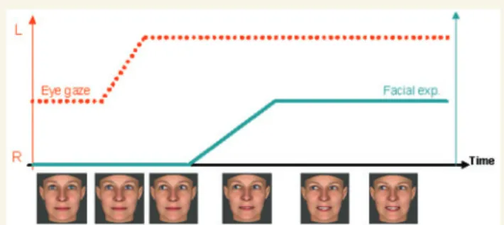 Figure 2 Dynamic pattern of eye movement and facial expression on each trial. For all stimuli used in this experiment, a neutral face gazing either toward or away from the subject was first presented as a baseline