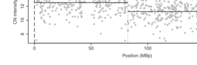 Fig. 1. Example for segmentation of a patient’s raw CN intensity data for a chromosome