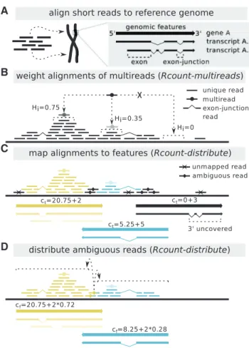 Fig. 1. Schematic Rcount algorithm used to calculate gene expression values. (A) After initial quality checks have been performed, the reads are aligned to a reference genome, preferentially with a splice-aware aligner [we tested TopHat2 (Kim et al., 2013)