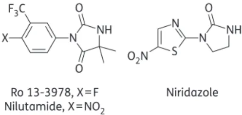 Figure 1. Structures of Ro 13-3978, nilutamide and niridazole.