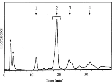 Fig. 6. Anion-exchange HPLC fractionation of 2-AB-glycans obtained from HNK1-glycopeptides