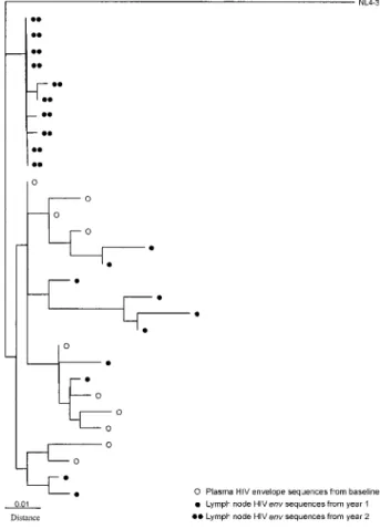 Figure 2. Maximum-likelihood phylogenetic tree for patient 19 shows sequence relationships of human immunodeficiency virus (HIV) env clones derived from serum collected at start of therapy and from  se-quences derived from lymph node HIV RNA at years 1 and