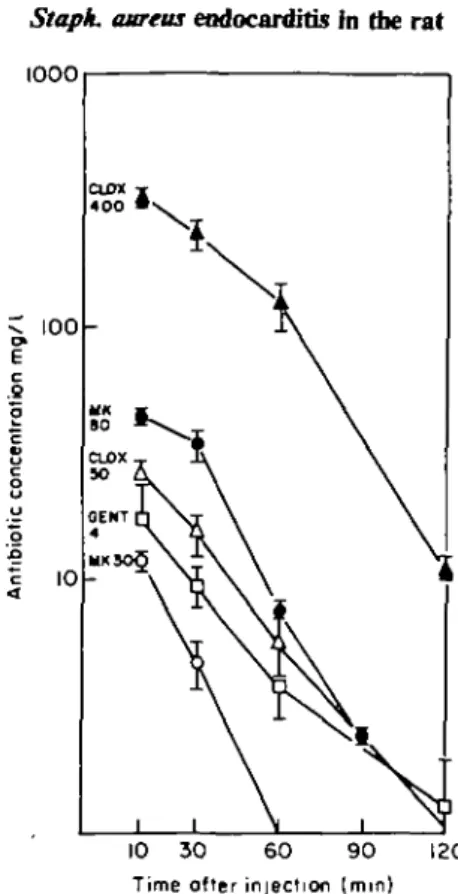 Figure 2. Rat serum levels after subcutaneous injection of cloxacillin 50 (CLOXA 50) and 400 mg/kg (CLOX 400), of imipenem 30 (MK30) and 80 mg/kg (MK80), and after intramuscular injection of gentamicin 4 mg/kg (GENT 4)