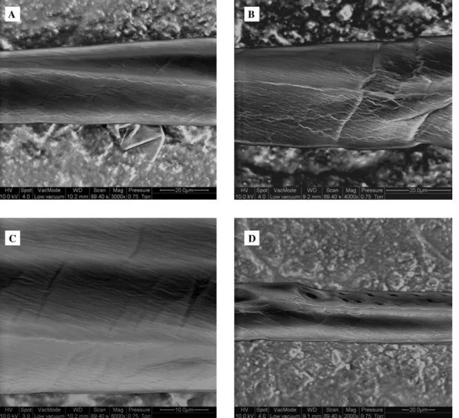 Figure 1 FE-ESEM images in the low-vacuum mode of chemically isolated spruce fibres shown at various levels of magnification.