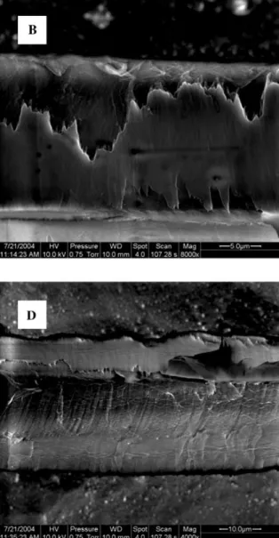 Figure 2 FE-ESEM images in the low-vacuum mode of mechanically isolated spruce fibres shown at various levels of magnification.