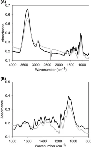 Figure 3 Average FT-IR spectra of mechanically (black line) and chemically (grey line) isolated spruce fibres: (A) full-range  spec-tra of wood fibres; and (B) specspec-tra in the fingerprint area from 1800 to 800 cm y 1 .