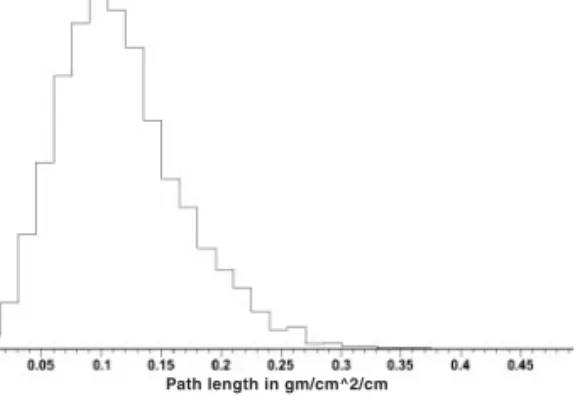 Figure 4. This graph plot shows the pathlength distribution that results from an exposure to rays that are exactly parallel to one of the axes that is perpendicular (the reference to x-axis here is intended to be a generic axis perpendicular to the longitu