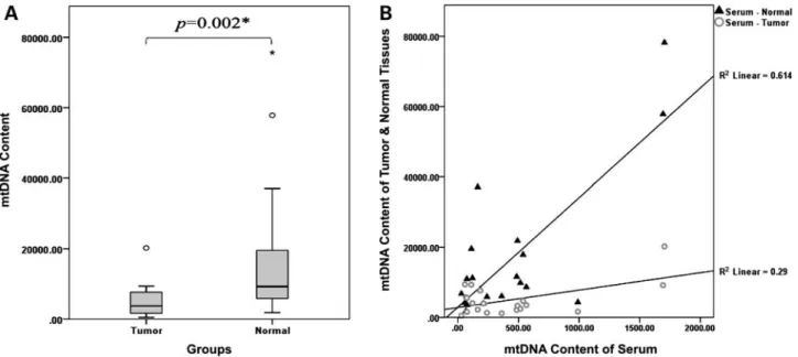 Figure 4. MtDNA content. (A) Comparison between mtDNA content in tumor and adjacent normal tissues