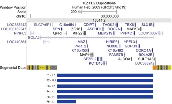 Figure 1. 16p11.2 duplications. GRCh37/hg19 region on chromosome 16p11.2. The extent of the BP4 – BP5 16p11.2 duplications found in the discovery cohort is compared with that of the small atypical duplication