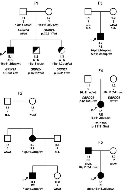 Figure 2. Pedigrees of 16p11.2 microduplication carriers. Familial segregation of 16p11.2 microduplications