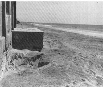 FIG. 2. Beach cottages and construction rubble restrict and reduce the quality of turtle nesting habitat at Sandspit and Hawkes