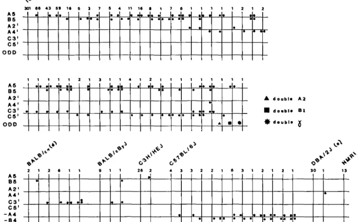 FIGURE 4 For the ICR line and for each of the strains studied, mice were grouped together according to the localization of their supernumerary whiskers (SWs), listed in the left hand column.