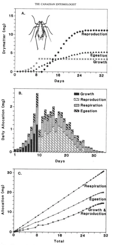 FIG.  6.  Per  capita pea aphid  growth  and  development: (A) patterns of  cumulative growth, reproduction, and  daily available reserves; (B) daily dry  matter  allocation to immature  growth, reproduction, egestion,  and res-  piration; and  (C)  the  a
