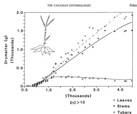 FIG. 3.  Per plant cassava growth and development: dry matter allocation to leaves,  stem plus root,  and tubers