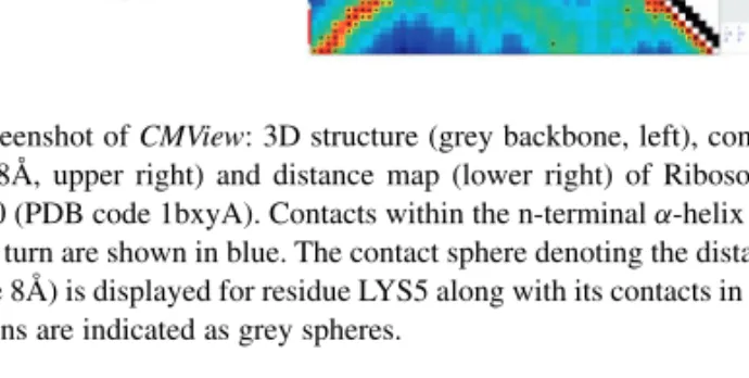Fig. 1. Screenshot of CMView: 3D structure (grey backbone, left), contact map (C- α 8Å, upper right) and distance map (lower right) of Ribosomal Protein L30 (PDB code 1bxyA)