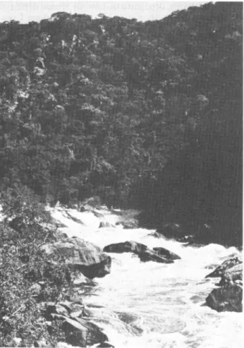 FIG. 8. The Kafue River in the Gorge in April 1967. This part of the river is now usually dry.