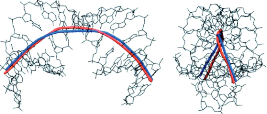 Figure 2. The helical axis of the d(CTGCTATAAAAGGCTG) 16-mer bound to TBP calculated with Curves+ (blue) and with Curves 6.0 (red).
